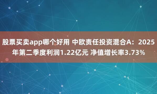 股票买卖app哪个好用 中欧责任投资混合A：2025年第二季度利润1.22亿元 净值增长率3.73%