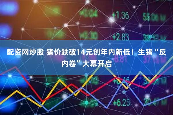 配资网炒股 猪价跌破14元创年内新低！生猪“反内卷”大幕开启